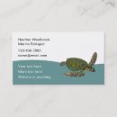 Recherche de tortue marine cartes visite Nature