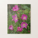 Suche nach rosen puzzle Blumenfotografie