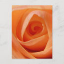 Suche nach eröffnung postkarten Blume