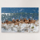 Recherche de elk puzzles Animaux
