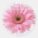 Recherche de marguerite de gerbera autocollants Fleur