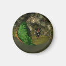 Suche nach fee magnete Schmetterling