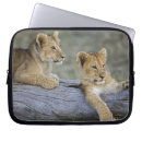 Suche nach lion laptop schutzhüllen Große katze