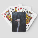 Recherche de portrait jeux de cartes Zoo