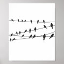 Recherche de oiseaux sur un fil posters Noir et blanc