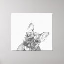 Suche nach frenchie leinwandbilder Bulldogge