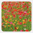 Recherche de poppy autocollants Botanique