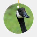 Suche nach merkwürdig ornamente Niedlich
