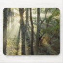 Suche nach eiche mousepads Baum