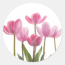 Suche nach rosa tulpen aufkleber Geburtstag