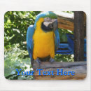 Suche nach bunter papagei mousepads Tier