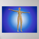 Recherche de nerf posters Bleu