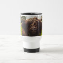 Suche nach highland cow tassen Hochlandrinder