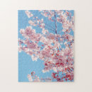 Recherche de cerisiers puzzles Belle