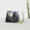 Recherche de gorille anniversaire cartes Vieux