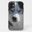 Suche nach bösartiger iphone hüllen Alaskan malamute
