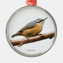 Recherche de oiseau rouge ornements Nature