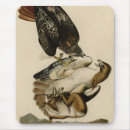 Recherche de queue tapis souris Illustration