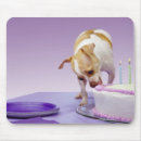 Suche nach chihuahua mousepads Stehend