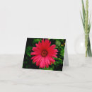 Suche nach flower karten Blume