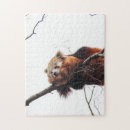 Suche nach rot puzzle Baum