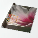 Recherche de fleur hawaïenne papier cadeau Hibiscus