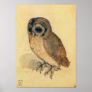 Suche nach albrecht durer poster Vintag