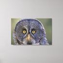 Suche nach tieraugen leinwandbilder Vogel