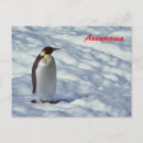 Recherche de banquise cartes postales Antarctique