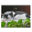 Recherche de minou bureau fournitures Animaux