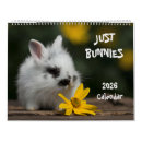 Recherche de lapin calendriers Photographie