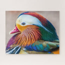 Recherche de draak puzzles Faune