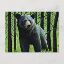 Recherche de ours noir cartes postales Pour tous