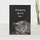 Suche nach graue katzen karten Blau
