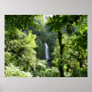 Suche nach tropical rainforest poster Tropisch