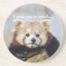 Recherche de panda de bar Chine