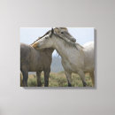 Suche nach jaynes galerie leinwandbilder Pferd