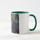Recherche de loutre rivière tasses Loutres