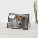 Suche nach jackrussell terrier karten Hund