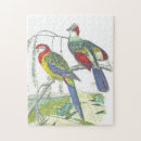 Suche nach vintager vogel puzzle Vogelvogel