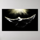 Suche nach tauben poster Spirituell