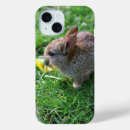 Suche nach rabbit iphone hüllen Grün