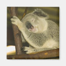 Suche nach brisbane magnete Reise