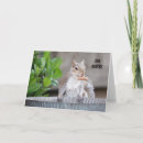 Suche nach eichhörnchen kleine grußkarten Geburtstag