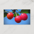 Recherche de cherry cartes visite Jardin