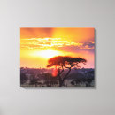 Suche nach serengeti leinwandbilder Safari
