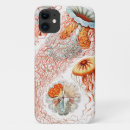 Recherche de aquatique coques Ernst haeckel