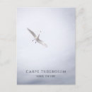 Suche nach carpe zum diem karten Motivierend