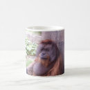 Suche nach orang utan tassen Affen