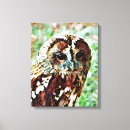 Suche nach niedliche eule leinwandbilder Natur